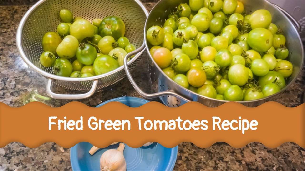 Miss Shirley's Fried Green Tomatoes Recipe